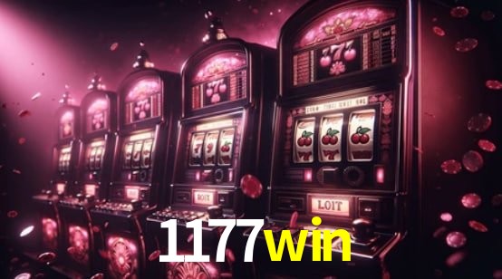 Interface Premium 1177win