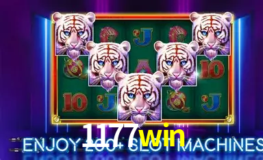 Seasonal Promotions 1177win